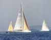 CHAMPION SAIL RACE